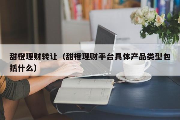 甜橙理财转让(甜橙理财平台具体产品类型包括什么)