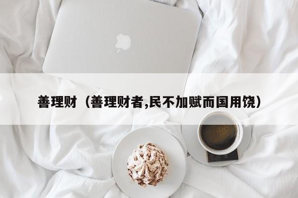 善理财(善理财者,民不加赋而国用饶)