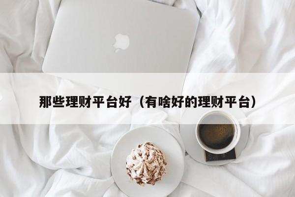 那些理财平台好(有啥好的理财平台)