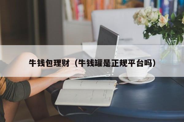 牛钱包理财(牛钱罐是正规平台吗)